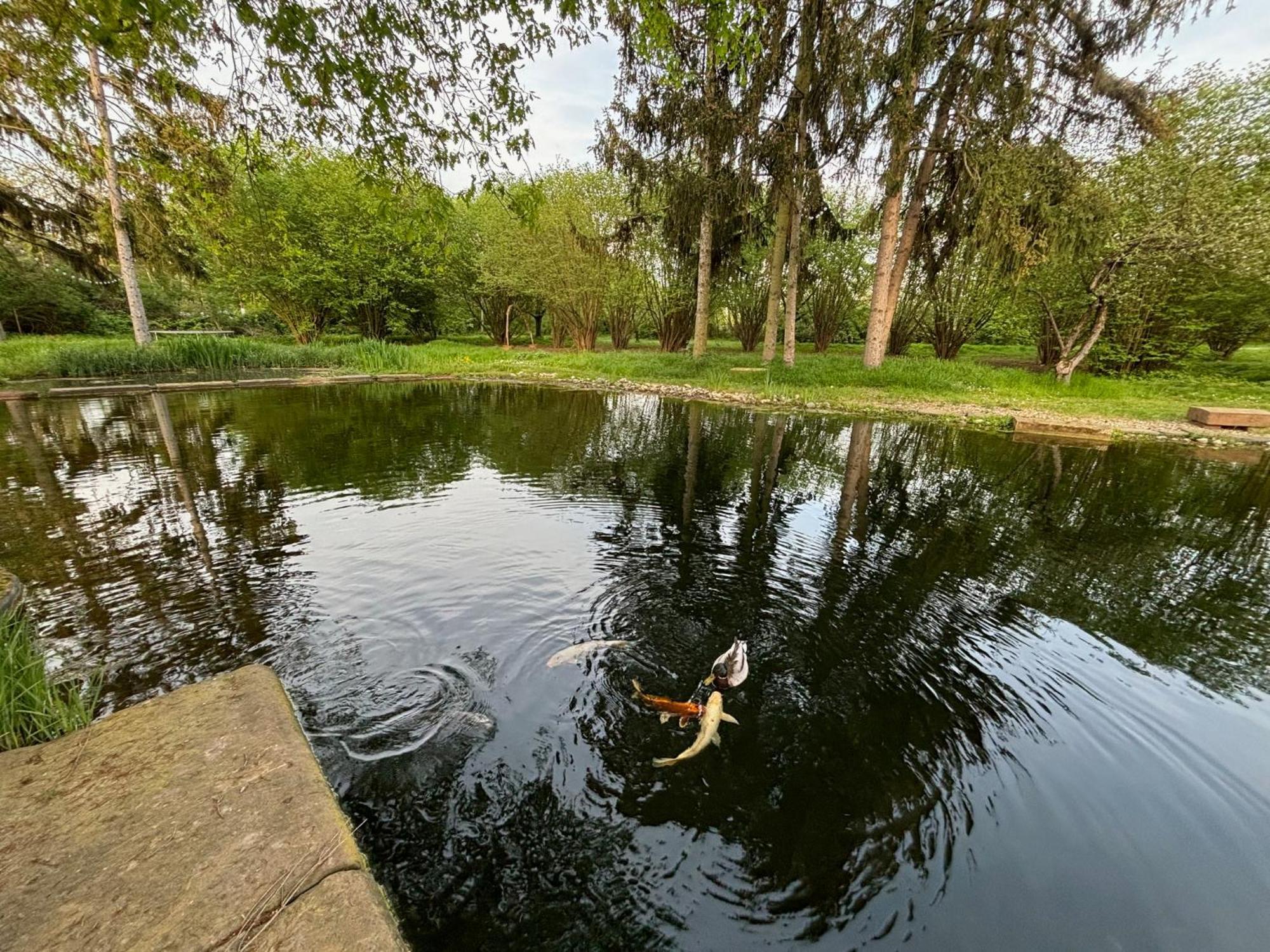 Datscha Am See Вормс Экстерьер фото